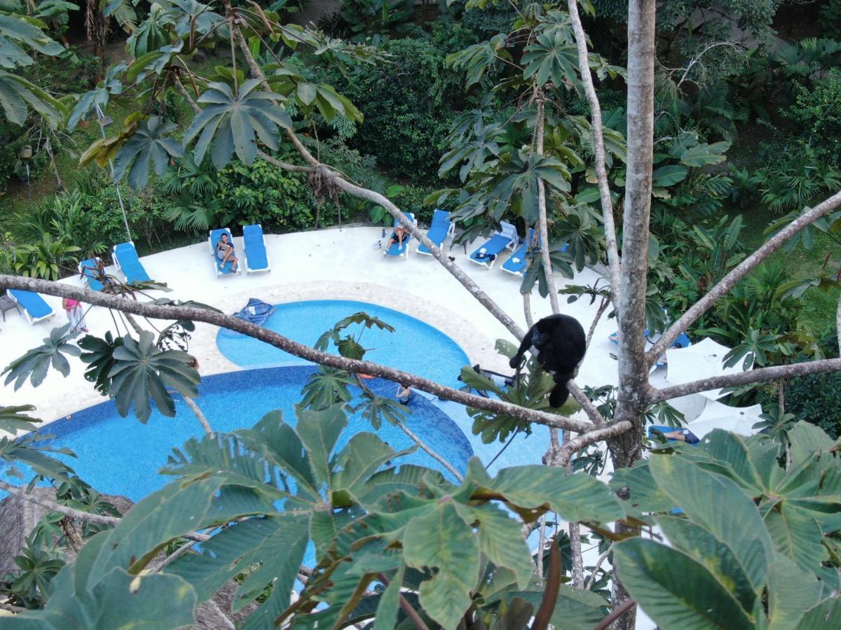 Cariblue And Jungle Hotel