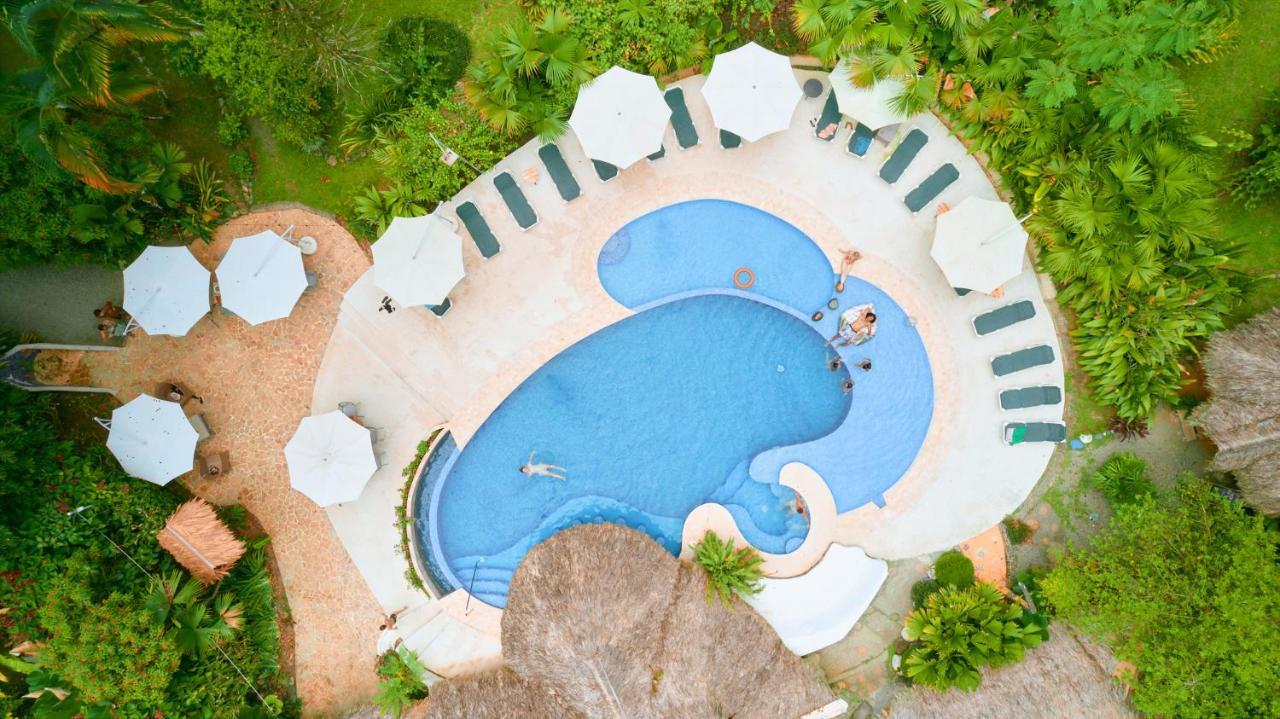 Hotel Cariblue Beach&jungle